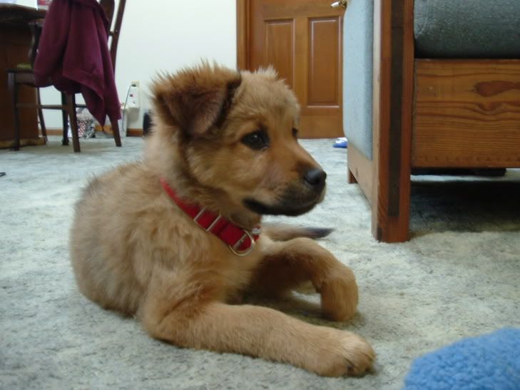 Image hosted by Photobucket.com